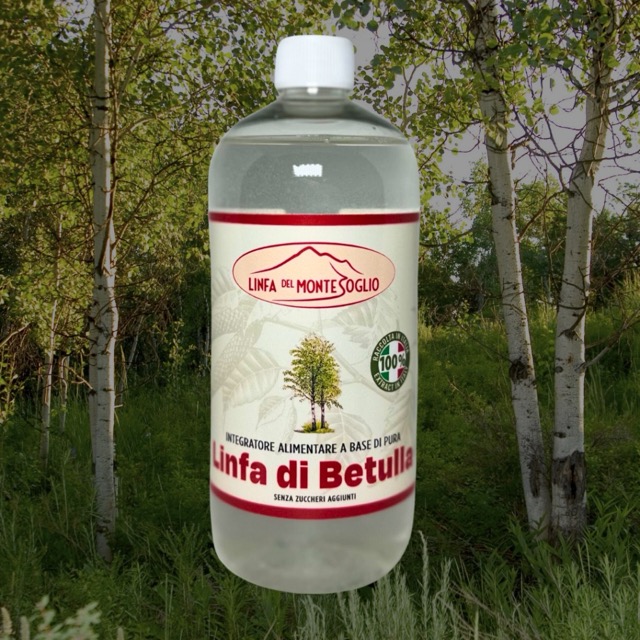 Linfa del montesoglio - Linfa di betulla | Erboristeria Erbainfusa Como | Shop Online